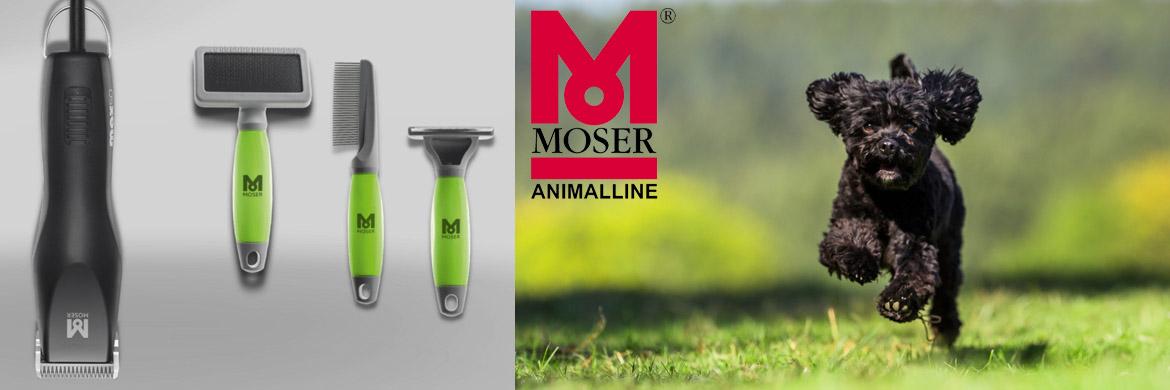 Banner Moser