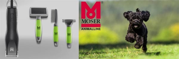 moser-banner