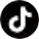 TikTok Icon